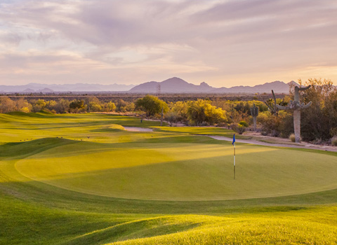 Neighborhood Image 8