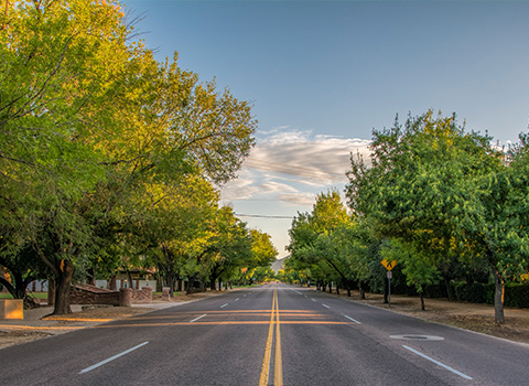 Neighborhood Image 17