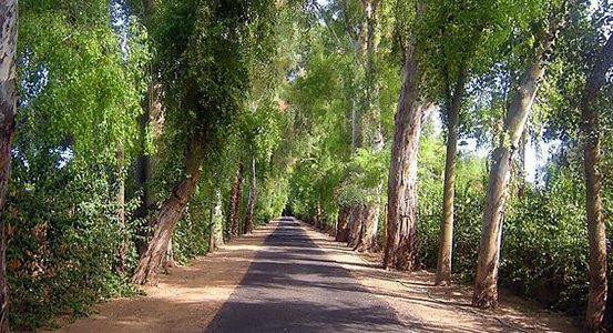 Central Phoenix Corridor