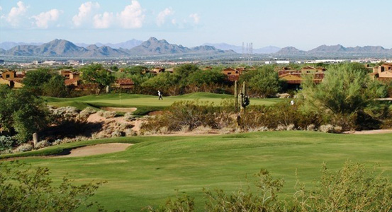 Grayhawk