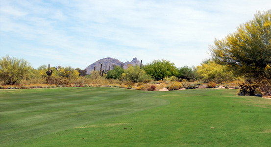 Grayhawk