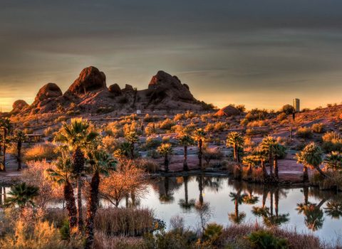 Neighborhood Image 15