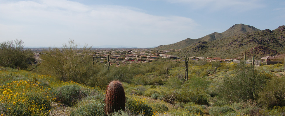 McDowell Mountain Ranch