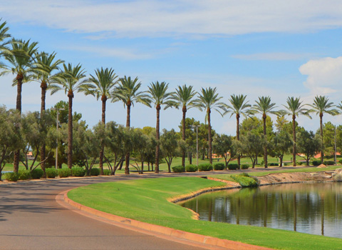 Neighborhood Image 6