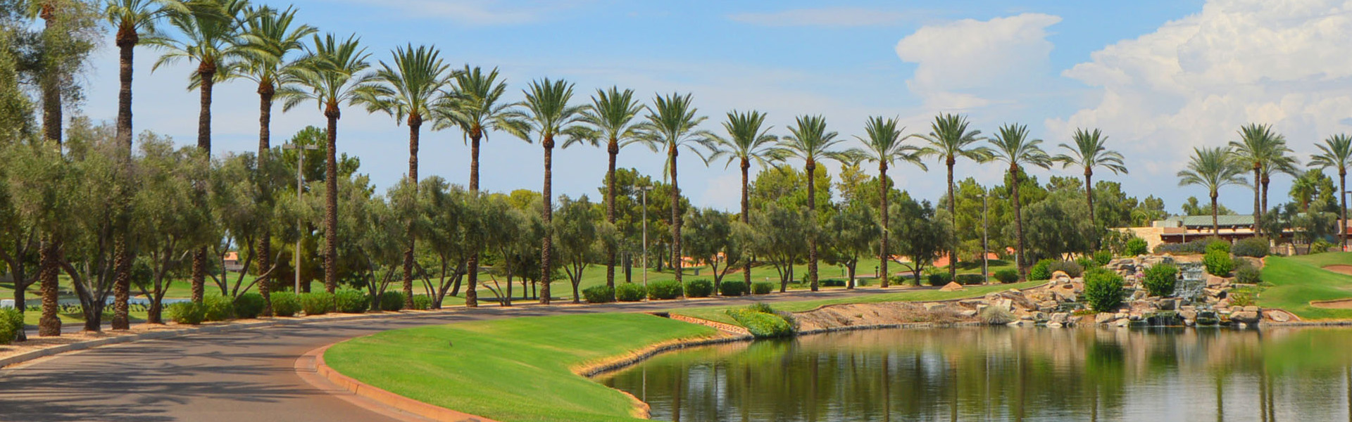 Ocotillo