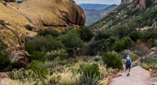Peralta Trails