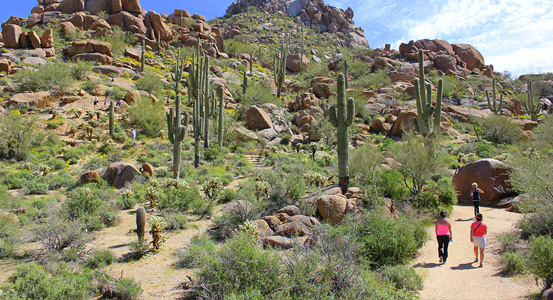 Pinnacle Peak