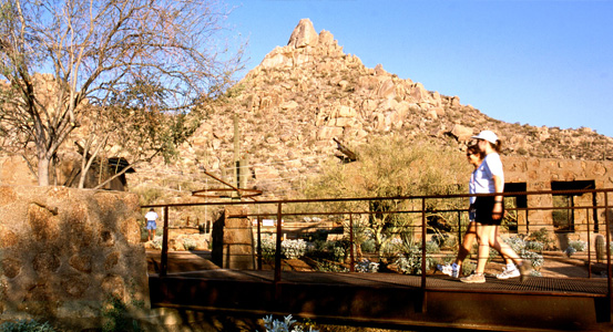 Pinnacle Peak