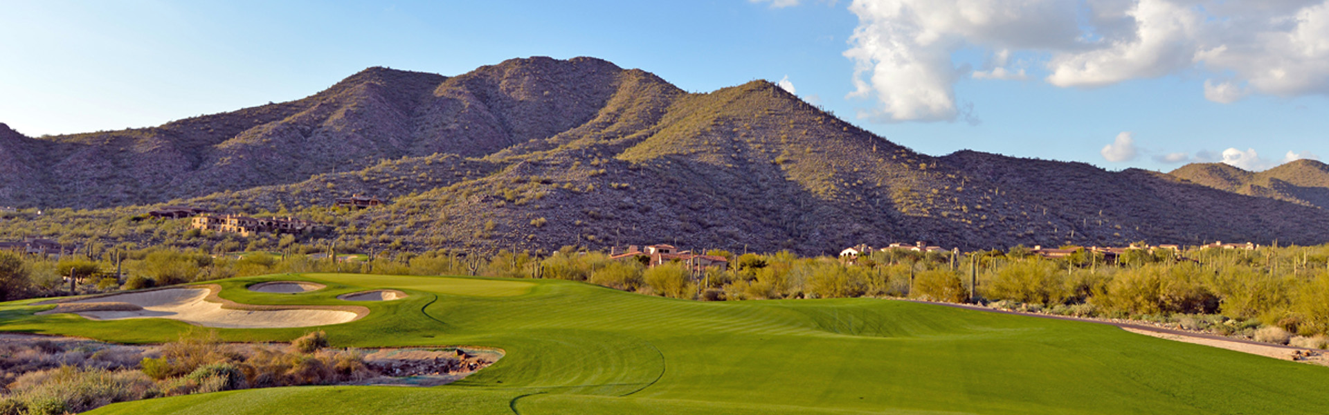 Silverleaf Neighborhood