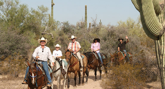 Sonoran Hills