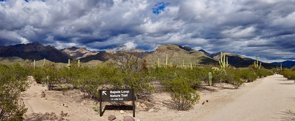 Sonoran Hills