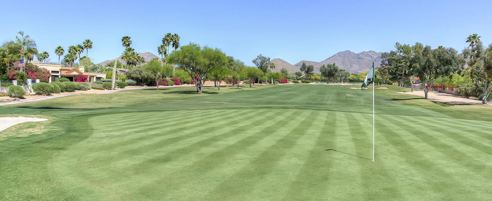 Sonoran Hills