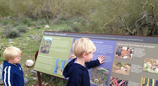 Sonoran Hills