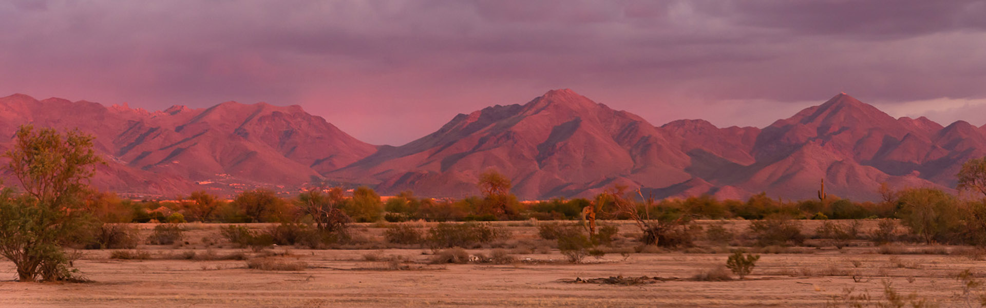 Sonoran Hills