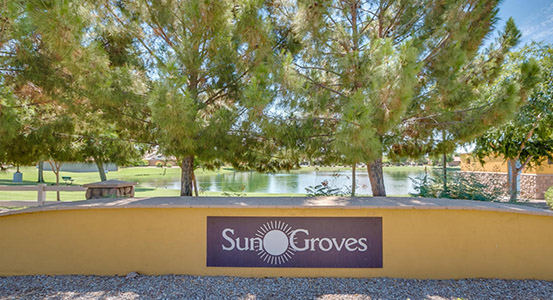 Sun Groves