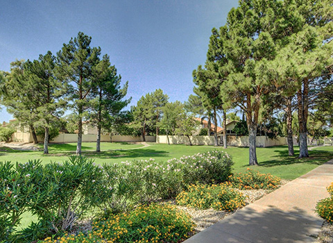 Neighborhood Image 21